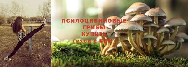 apvp Медвежьегорск